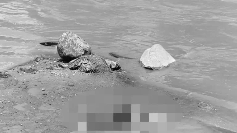 Encuentran cadáver de hombre en la orilla del Río en Girardota