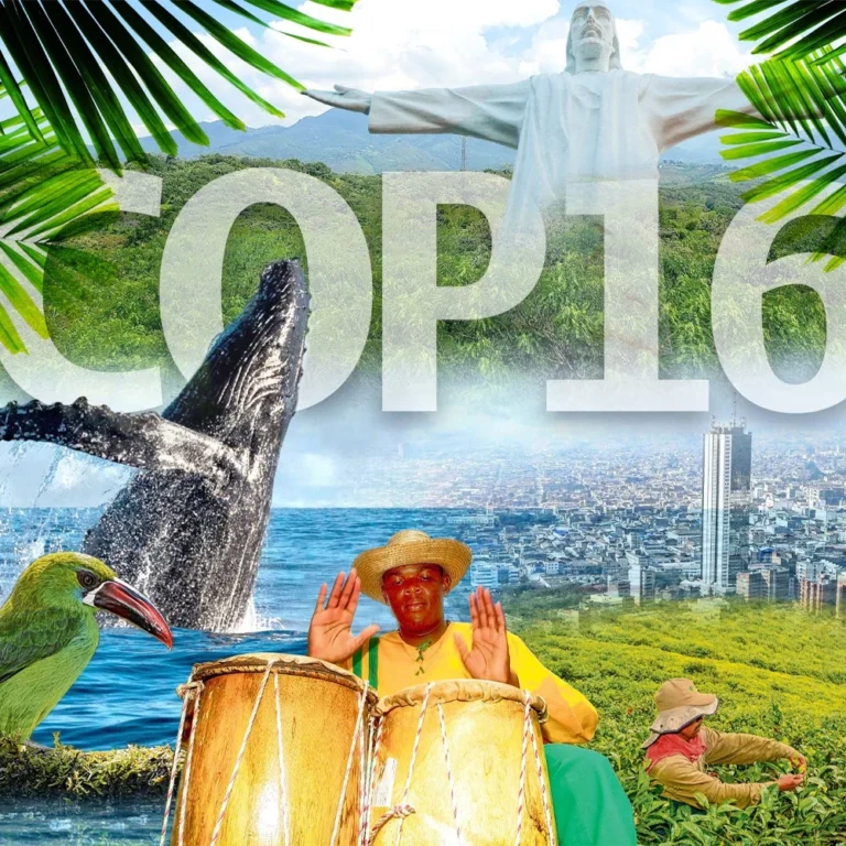 La Organización y Atención de Corpovalle en la Entrega de Alimentos para la Fuerza Pública durante la COP 16