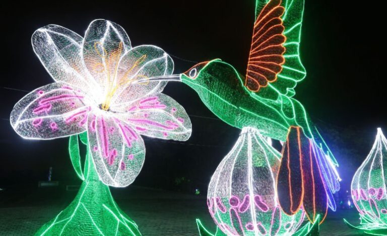 ¡Descubre la Magia de la Navidad en Girardota y los Alumbrados Navideños de Antioquia!