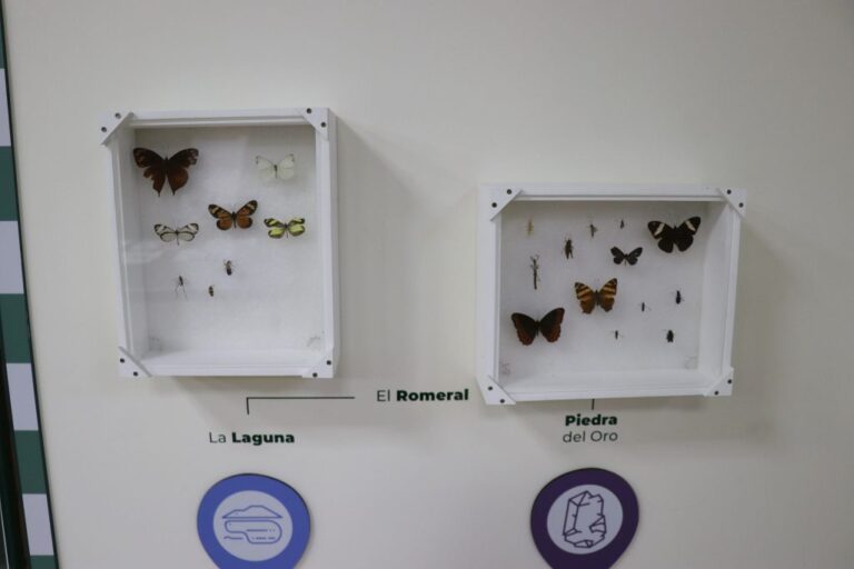 un espacio para la conservación